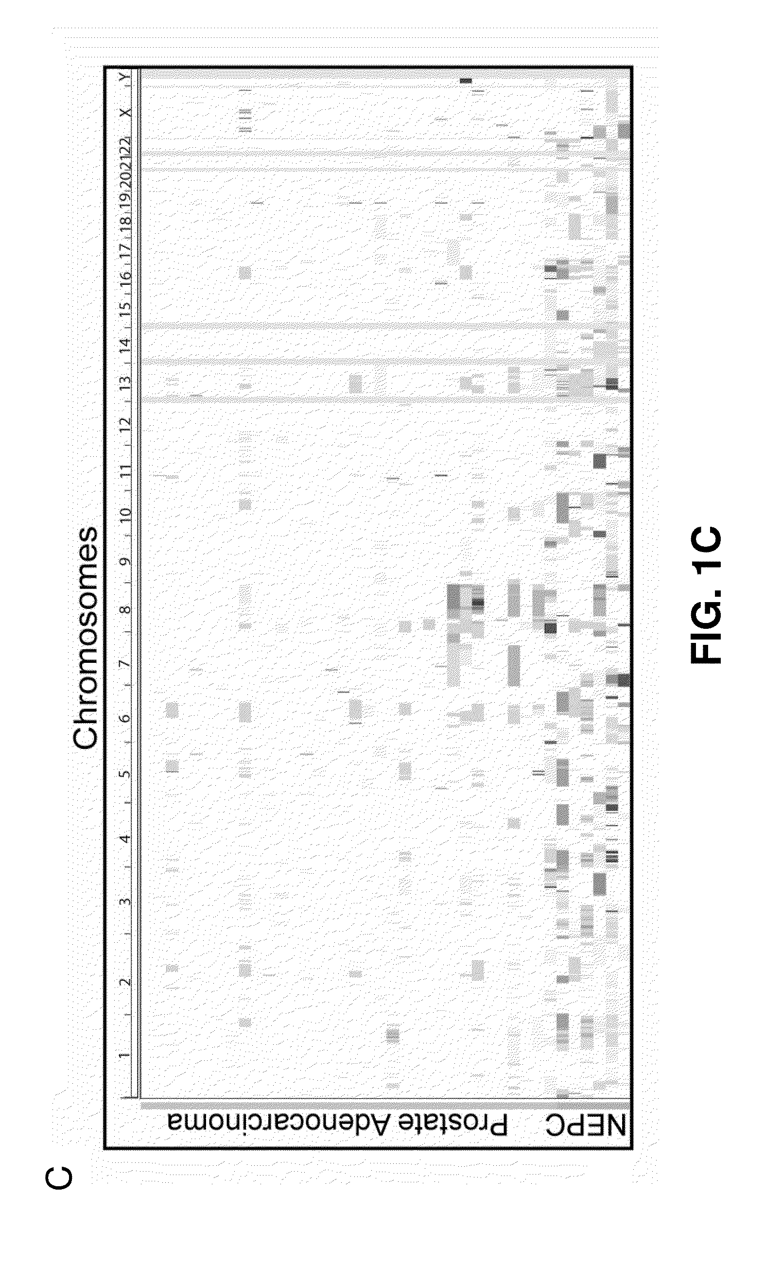 Molecular subtyping, prognosis and treatment of prostate cancer