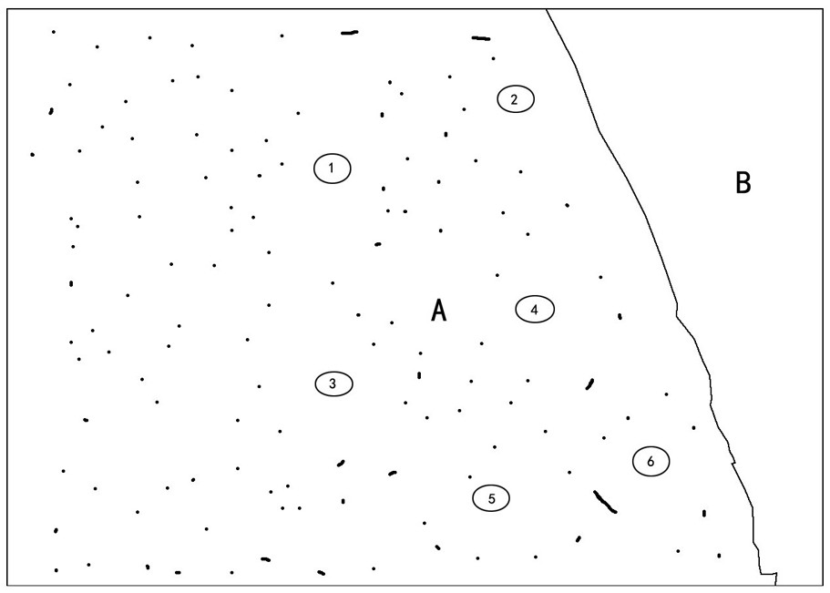 A Method of Radar Adaptive Detection of Tornado