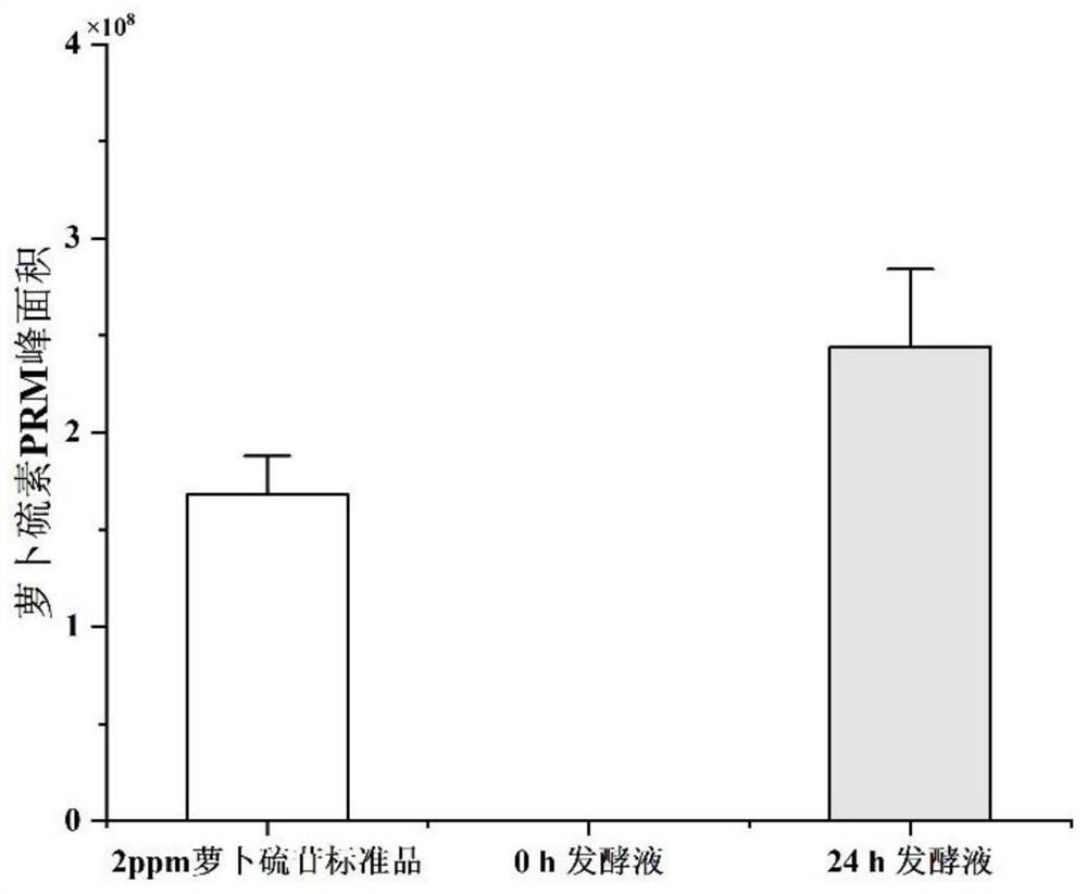 Bifidobacterium longum CCFM1206 capable of producing sulforaphane and relieving inflammation