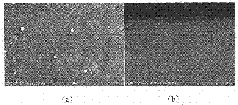 Silicate coating-containing absorbable medical magnesium-based metal and preparation method and application thereof