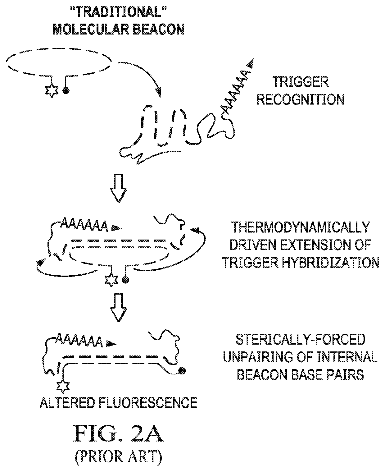 Hybrid nucleic acid switches