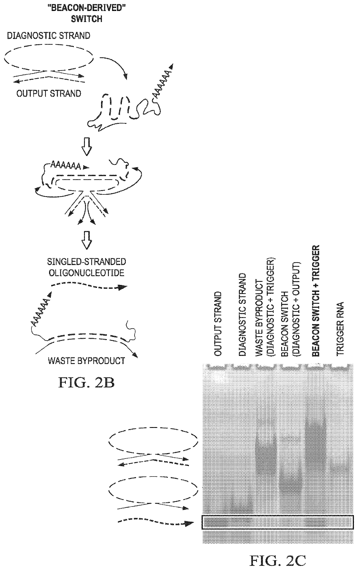 Hybrid nucleic acid switches