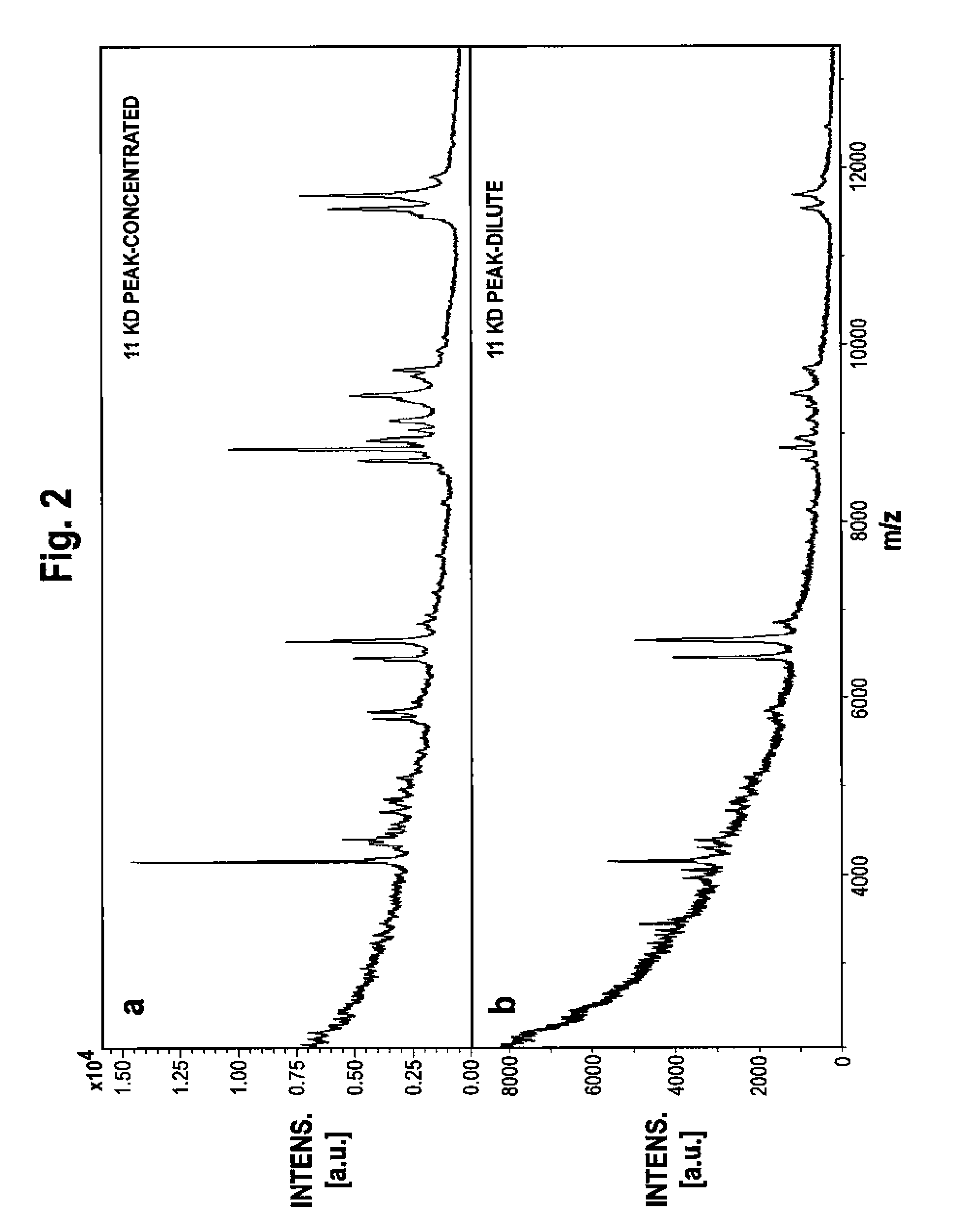 Methods and marker combinations for screening for predisposition to lung cancer
