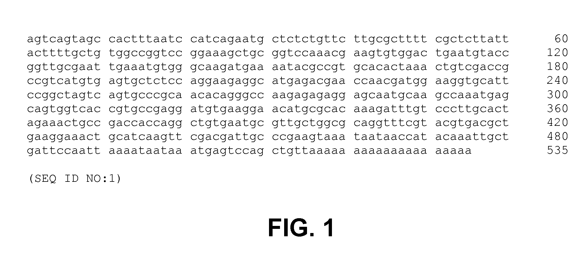 Methods, devices, kits and compositions for detecting roundworm
