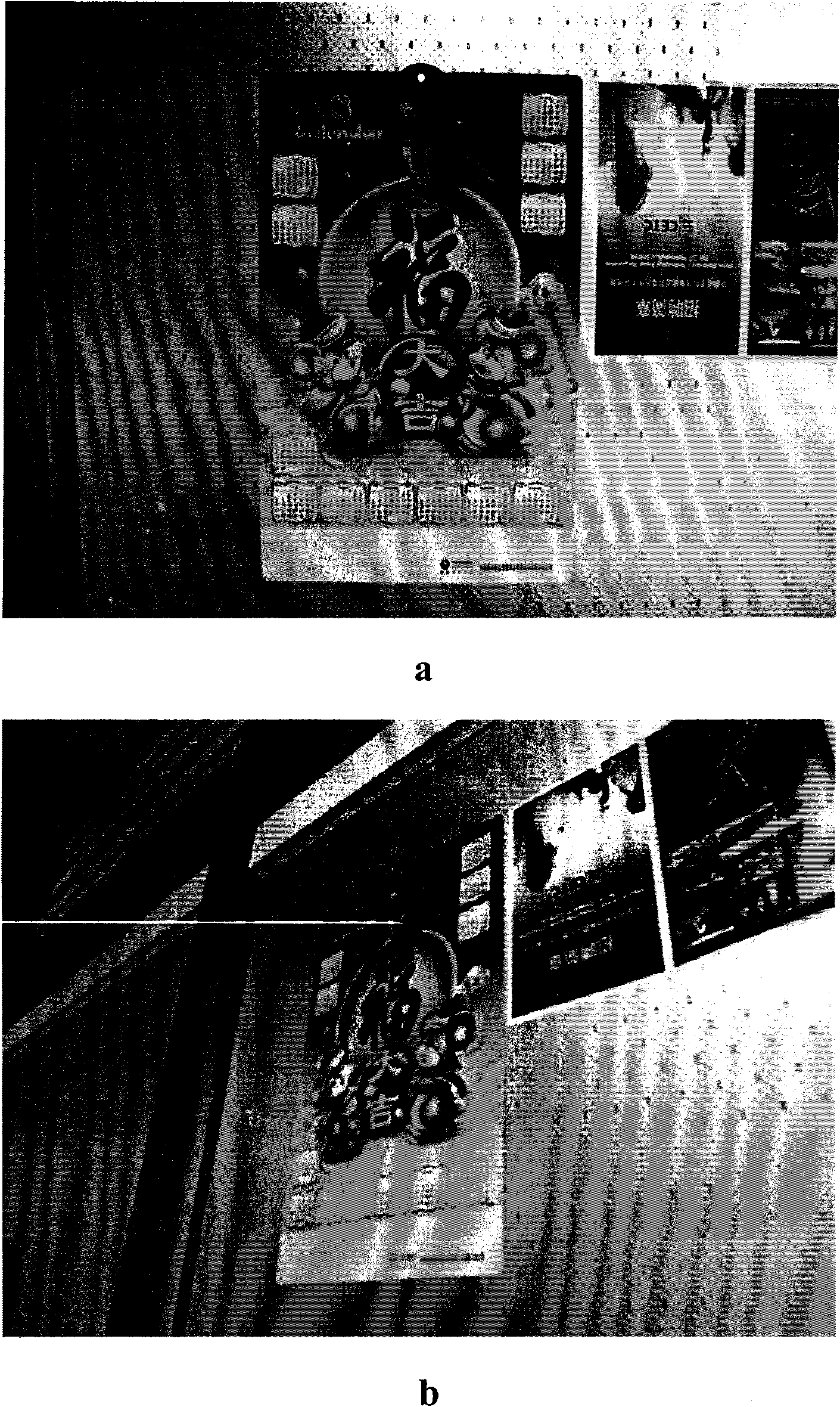 Method for generating sample images under all vision angles on basis of standard image