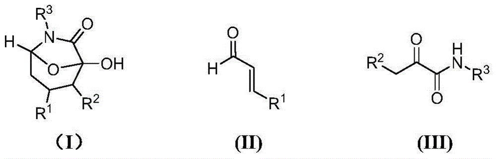 Asymmetric synthesis method of chiral bicyclocaprolactam compounds