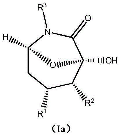 Asymmetric synthesis method of chiral bicyclocaprolactam compounds