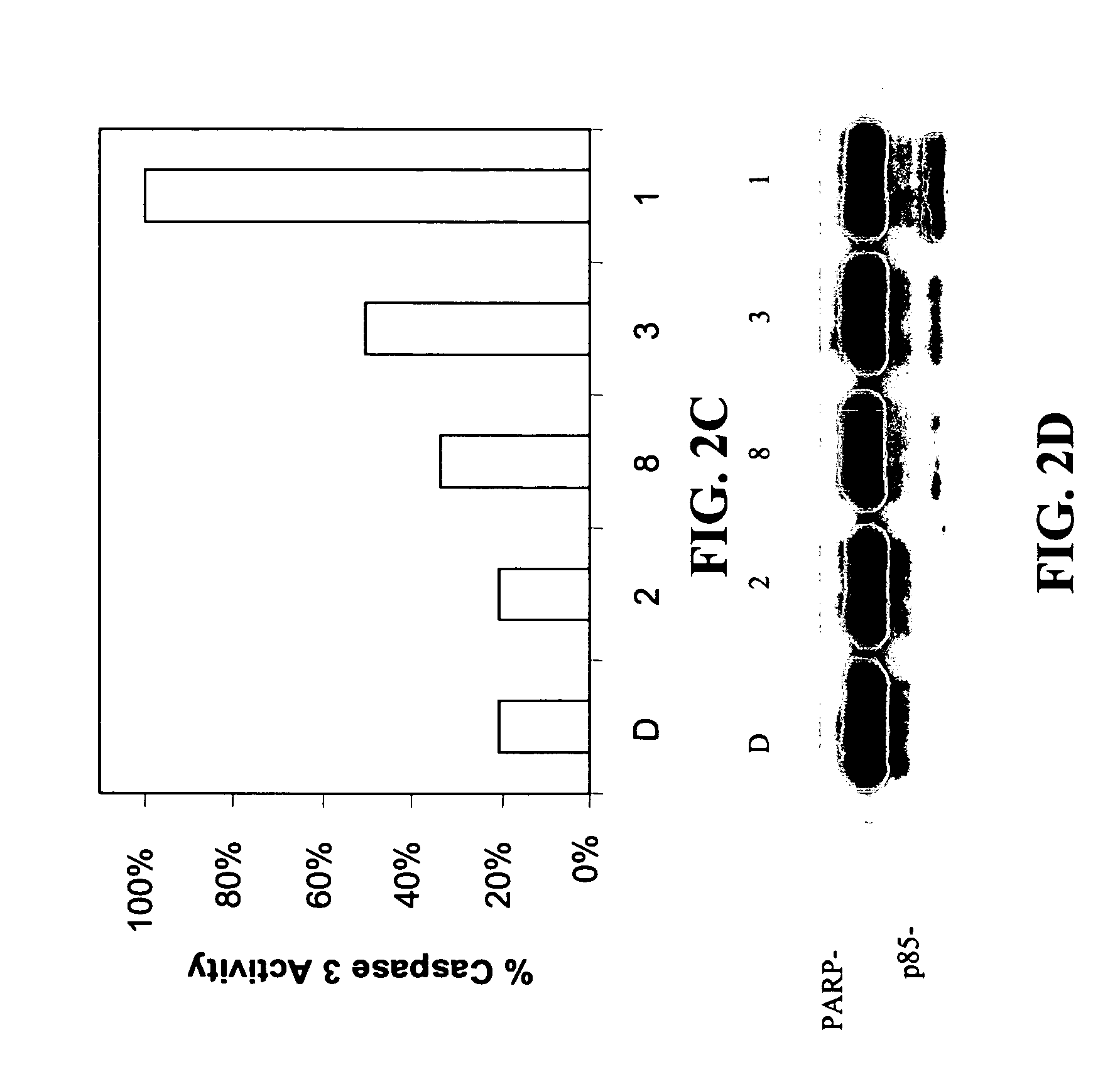 Methods for preventing and treating cancer using N-thiolated beta-lactam compounds and analogs thereof