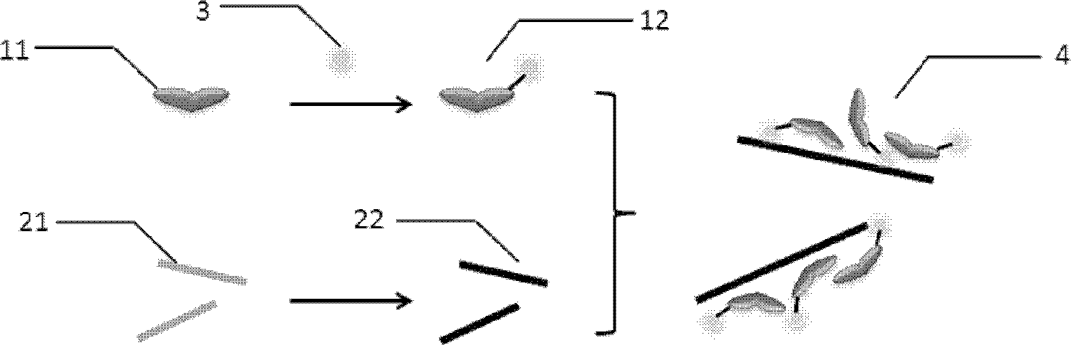 Nano graphene oxide protein complex, preparation method and applications thereof