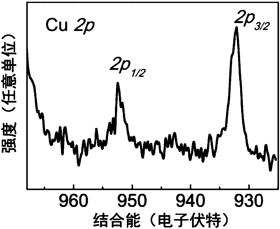 Preparation method of metal copper nanocluster not wrapped with surface ligand and application thereof