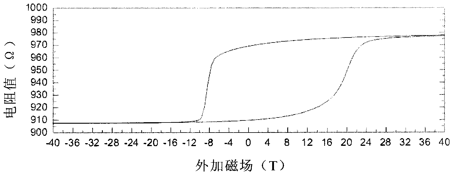 Magnetic sensor chip, magnetic sensor and manufacturing method of magnetic sensor