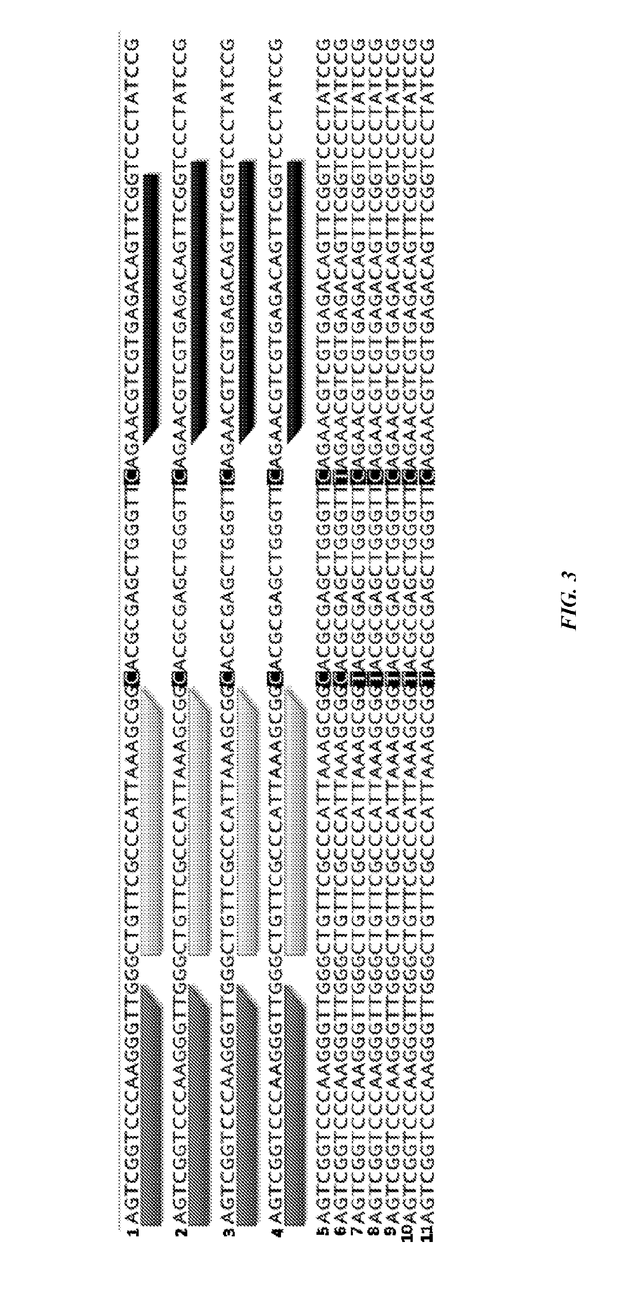 Skin disorder therapeutics and methods of use