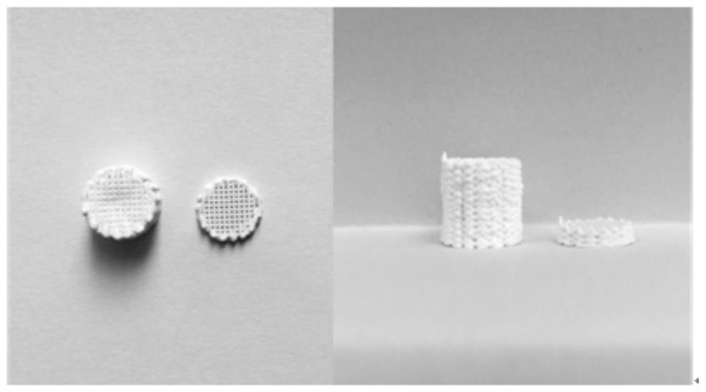 Barium titanate piezoelectric ceramic support for bone tissue engineering and preparation method thereof