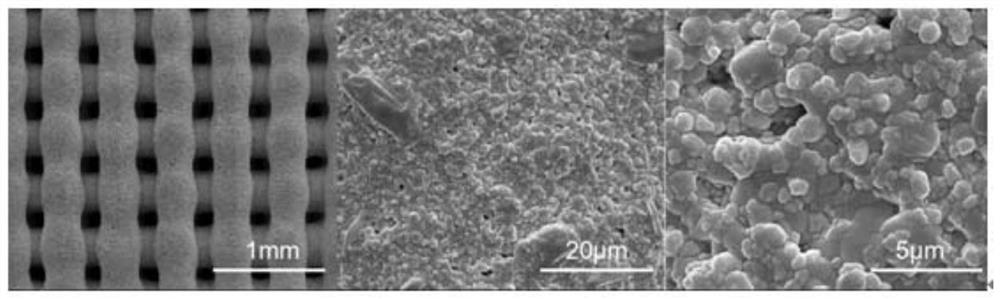 Barium titanate piezoelectric ceramic support for bone tissue engineering and preparation method thereof