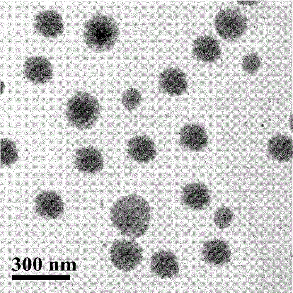 PH-sensitive reduction responsive nanogel and preparation method thereof