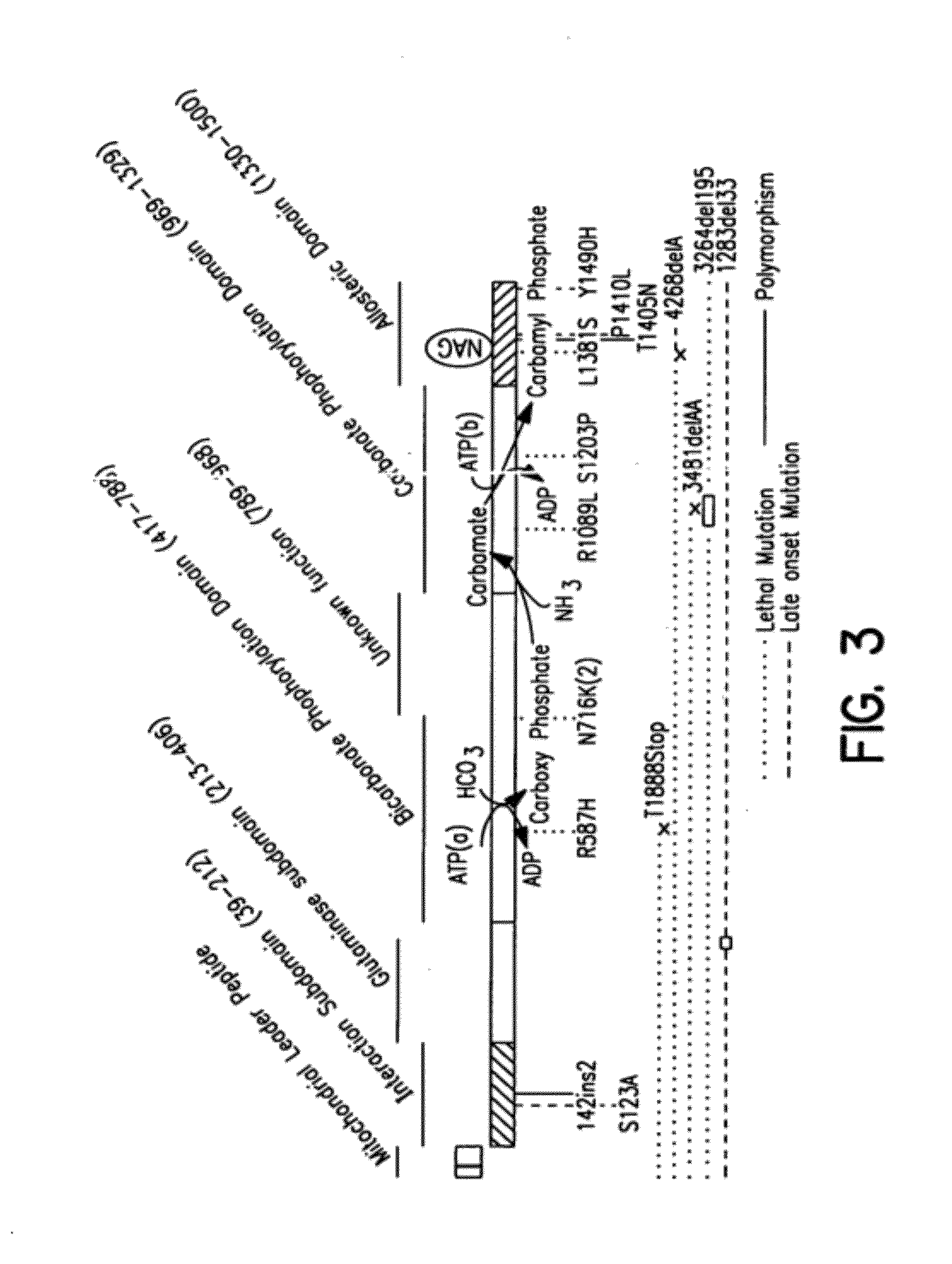 Therapeutic methods employing nitric oxide precursors