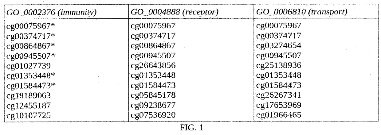 Methods of predicting age, and identifying and treating conditions associated with aging