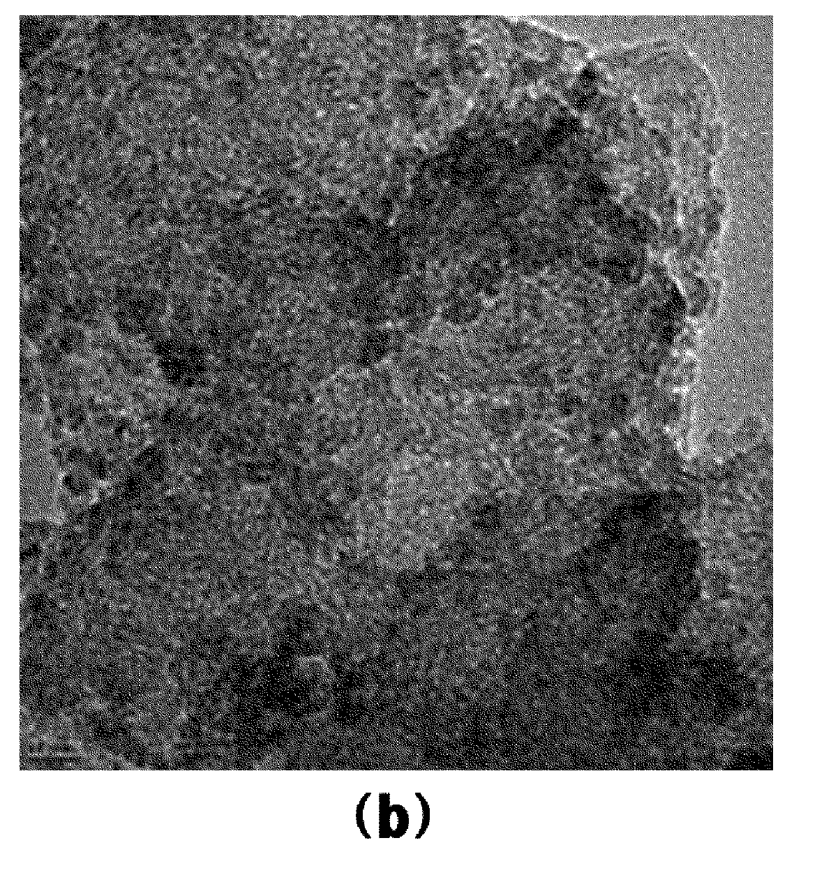Method for preparing nano-sized metal particles on a carbon support