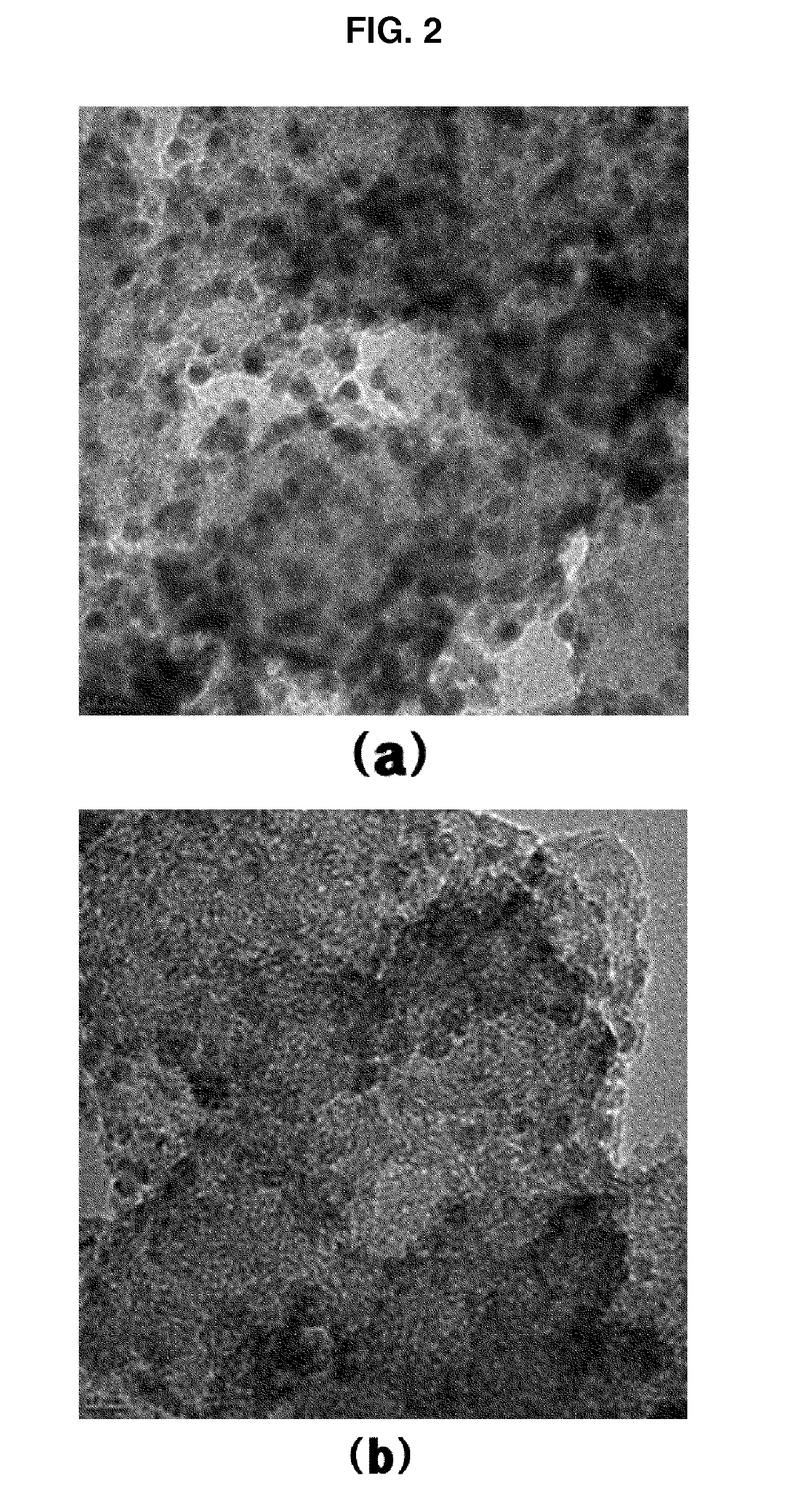 Method for preparing nano-sized metal particles on a carbon support