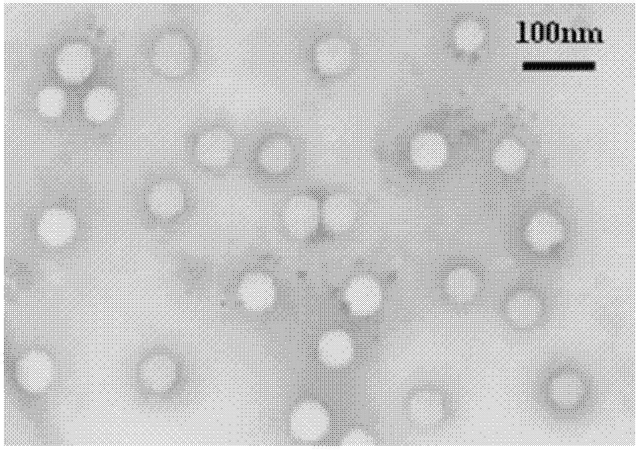 Aqueous epoxy antistatic coating with nano-core-shell structural conductive polyaniline and preparation method thereof