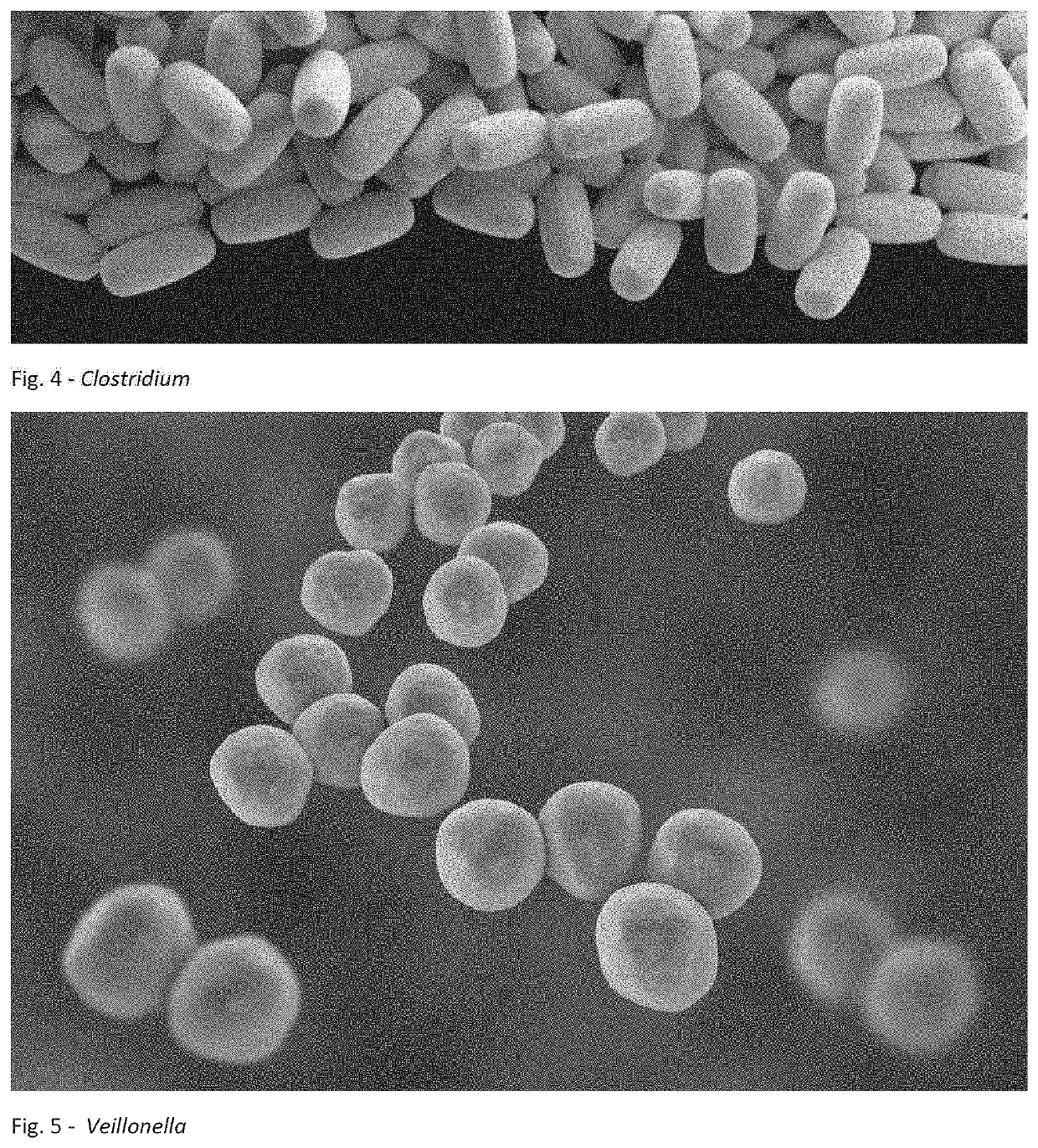 Method and System to Improve the Health of a Person's Skin Microbiome