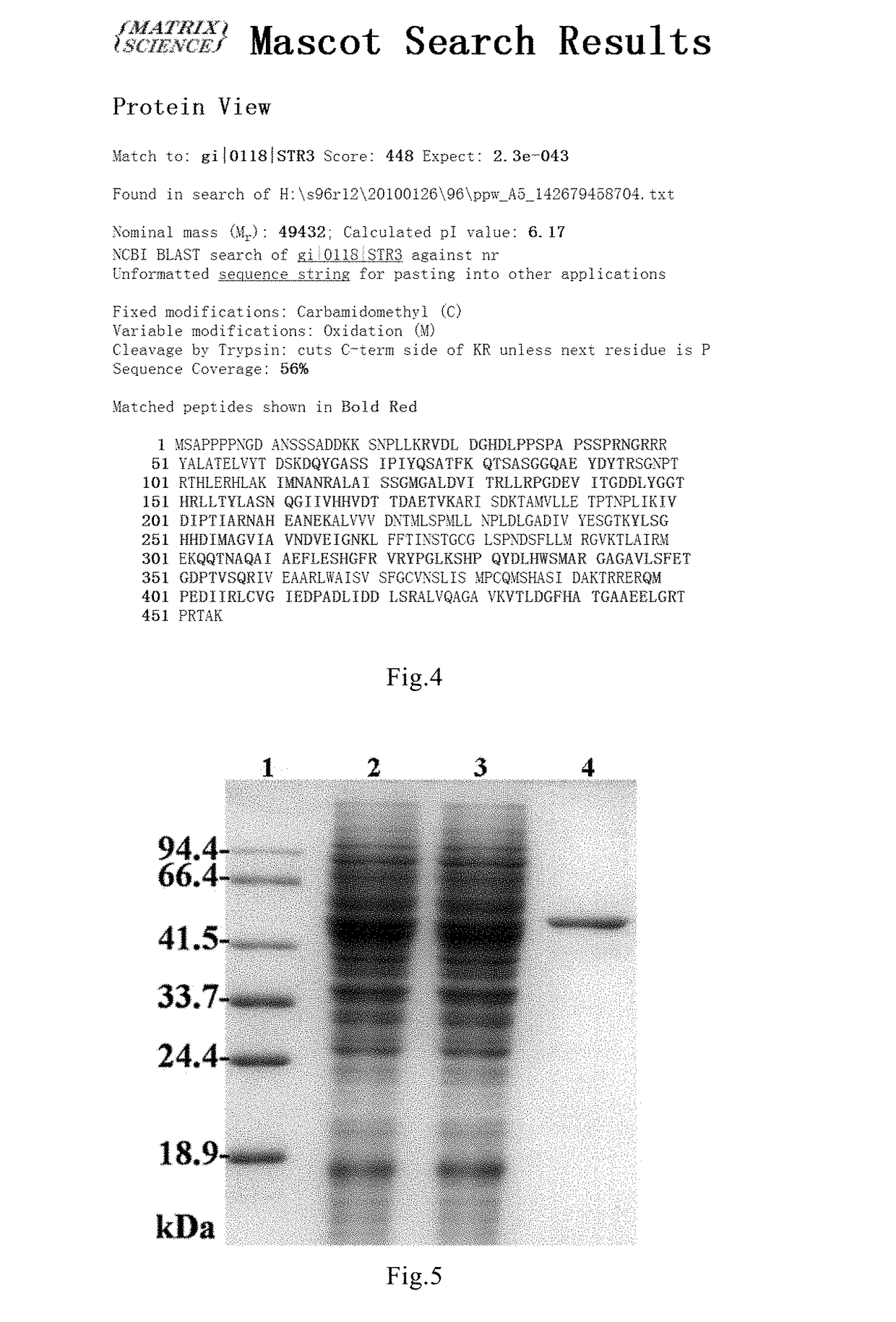 Methionine lyase, encoding gene and biosynthetic method thereof