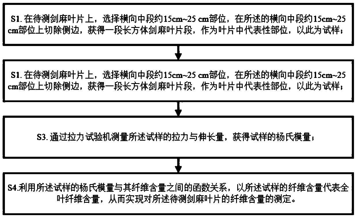 Sisal hemp leaf fiber content rapid measurement method