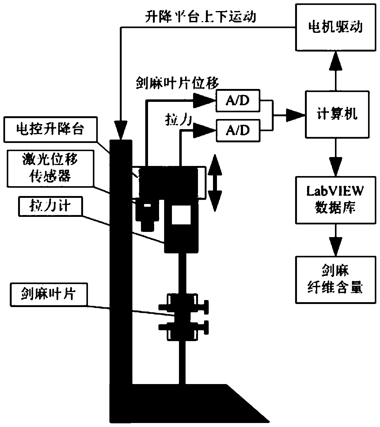 Sisal hemp leaf fiber content rapid measurement method