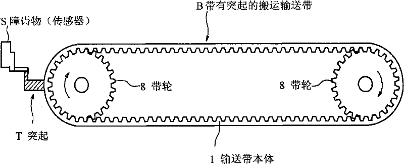 Belt with projection