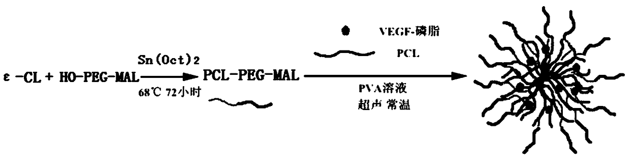 Decellularized valve with controllable release of vascular endothelial growth factor, method of making and application thereof