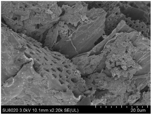 A kind of fe/c composite porous structure material and its preparation method and application