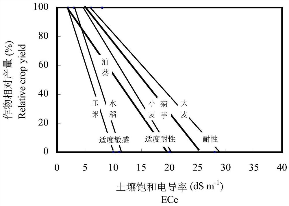 A kind of Jerusalem artichoke introduction and saline-alkali resistance cultivation method