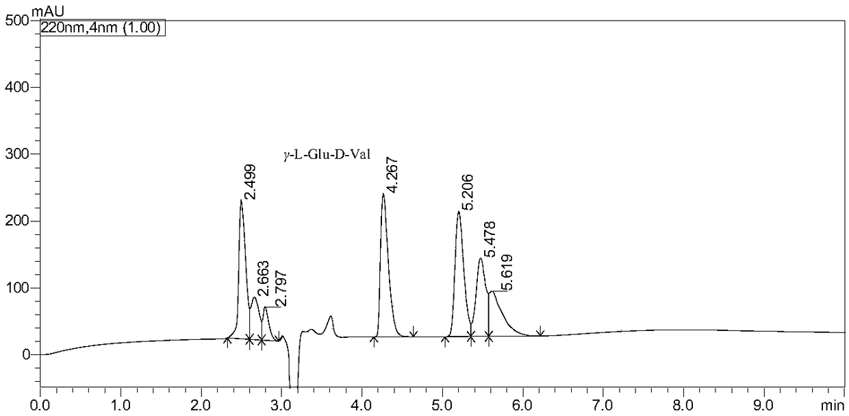 Aspartame gamma-L-Glu-D-Val as well as preparation method and application thereof