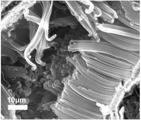 Preparation method of graphene/carbon nanotube composite array material