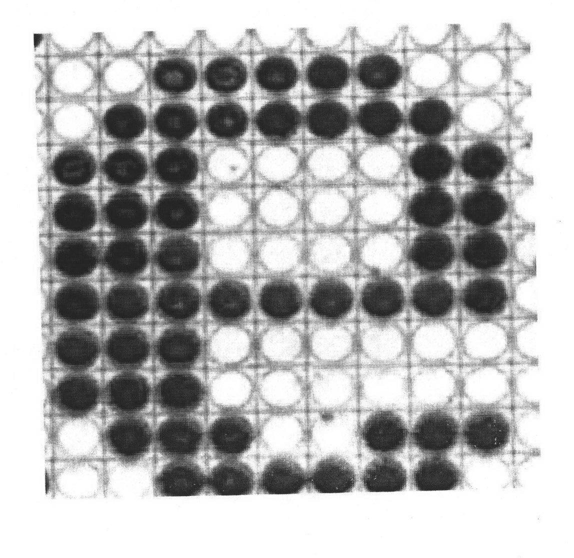 Conductive polyaniline with bioactivity, preparation thereof and use thereof