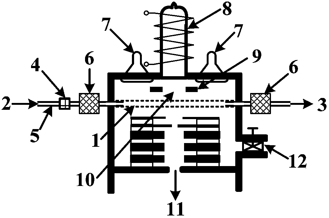 Online mass spectrum sample introduction device with tubular film inside ionization source
