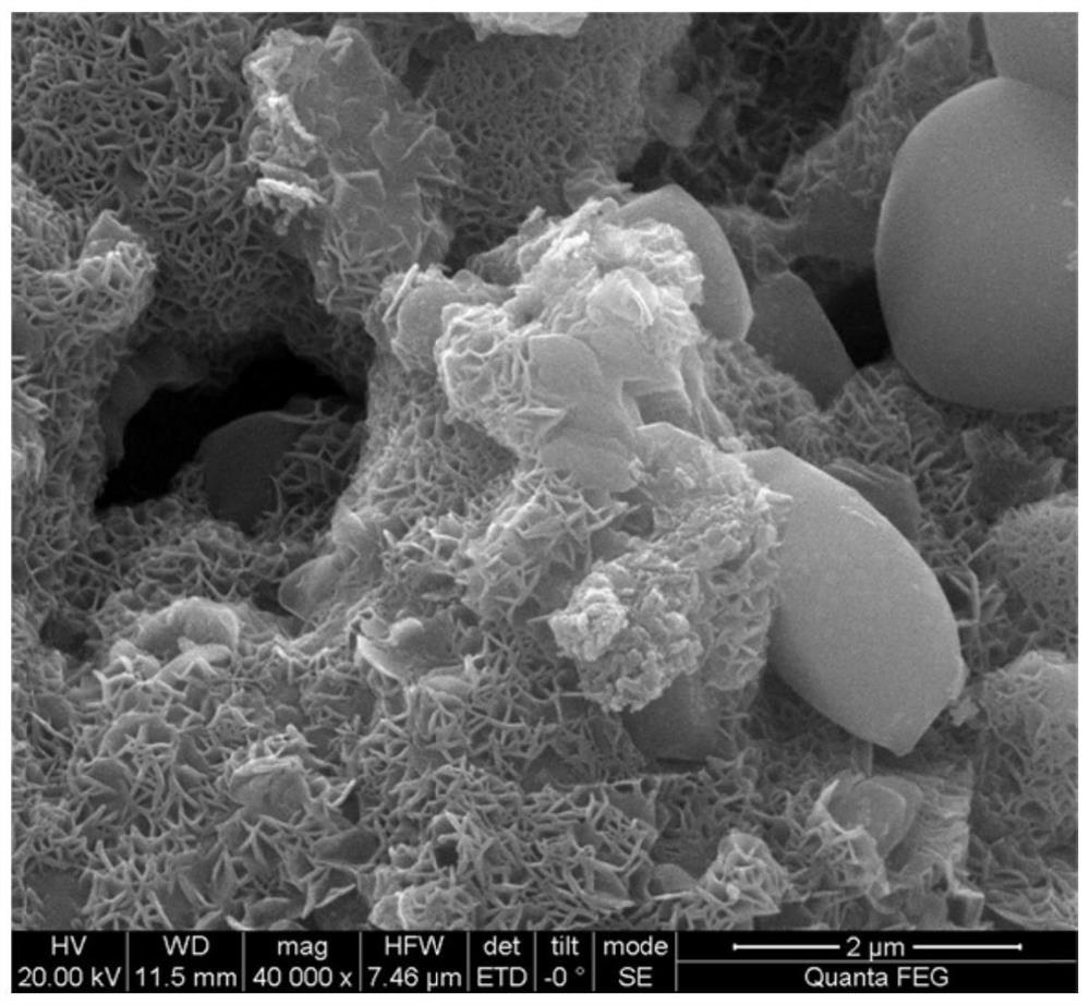 Preparation method and application of a biomass honeycomb semi-coke-supported nickel-iron nanoparticle catalyst