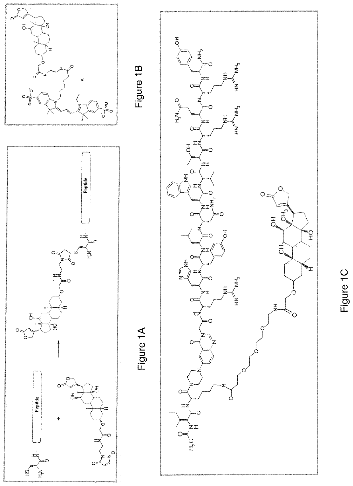 Bispecific Anti-hapten/Anti-blood brain barrier receptor antibodies, complexes thereof and their use as blood brain barrier shuttles