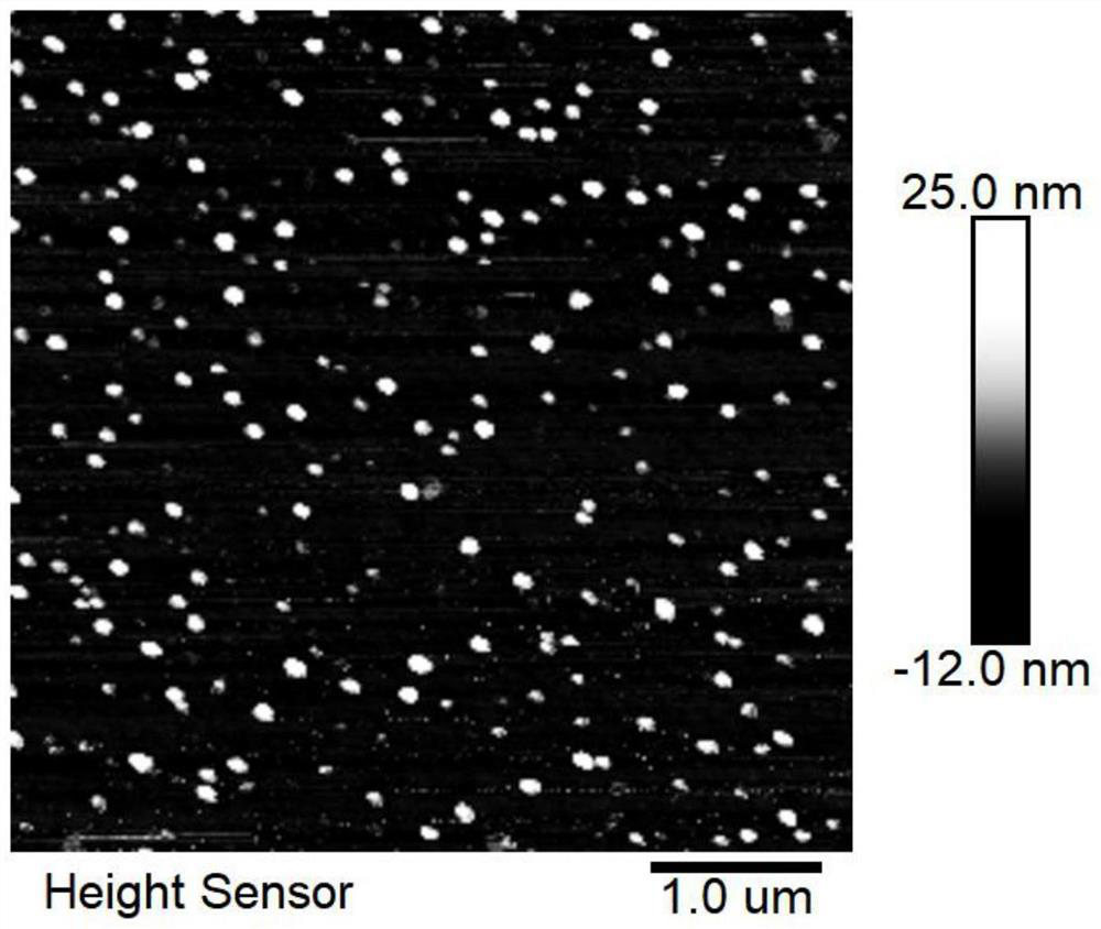 Self-assembled bipolar organic field effect transistor memory and preparation method thereof