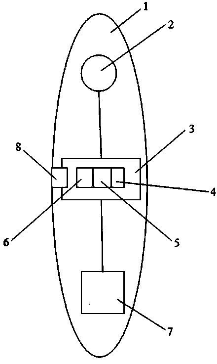 Exercise index measurement insole and data processing method corresponding to same