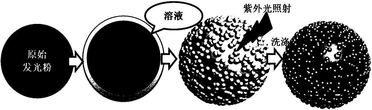 Preparation method for gold/platinum surface loaded Sr2MgSi2O7: Eu&lt;2+&gt;, Dy&lt;3+&gt; long-afterglow light-emitting material