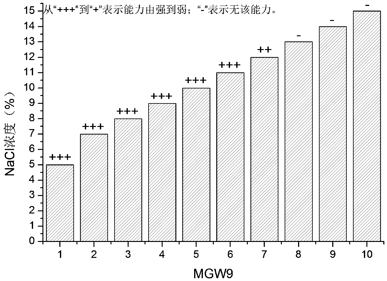 Preparation and application method of seed biostimulant SB-MGW 9