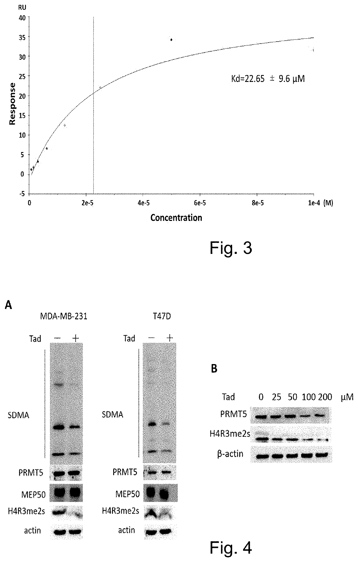 Use of tadalafil as protein arginine methyltransferase (PRMT5) inhibitor