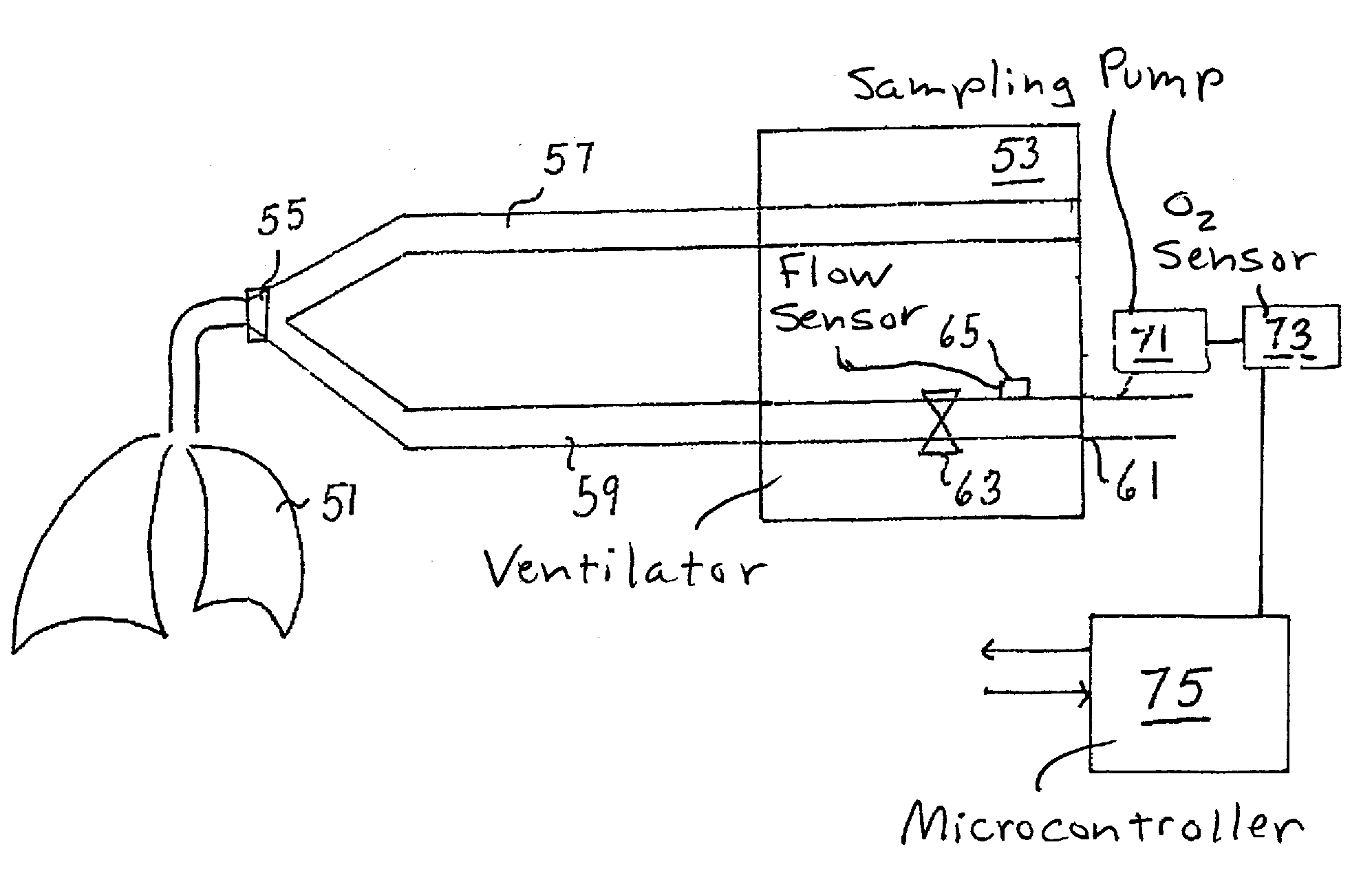 Method and Apparatus for Lung Volume Estimation