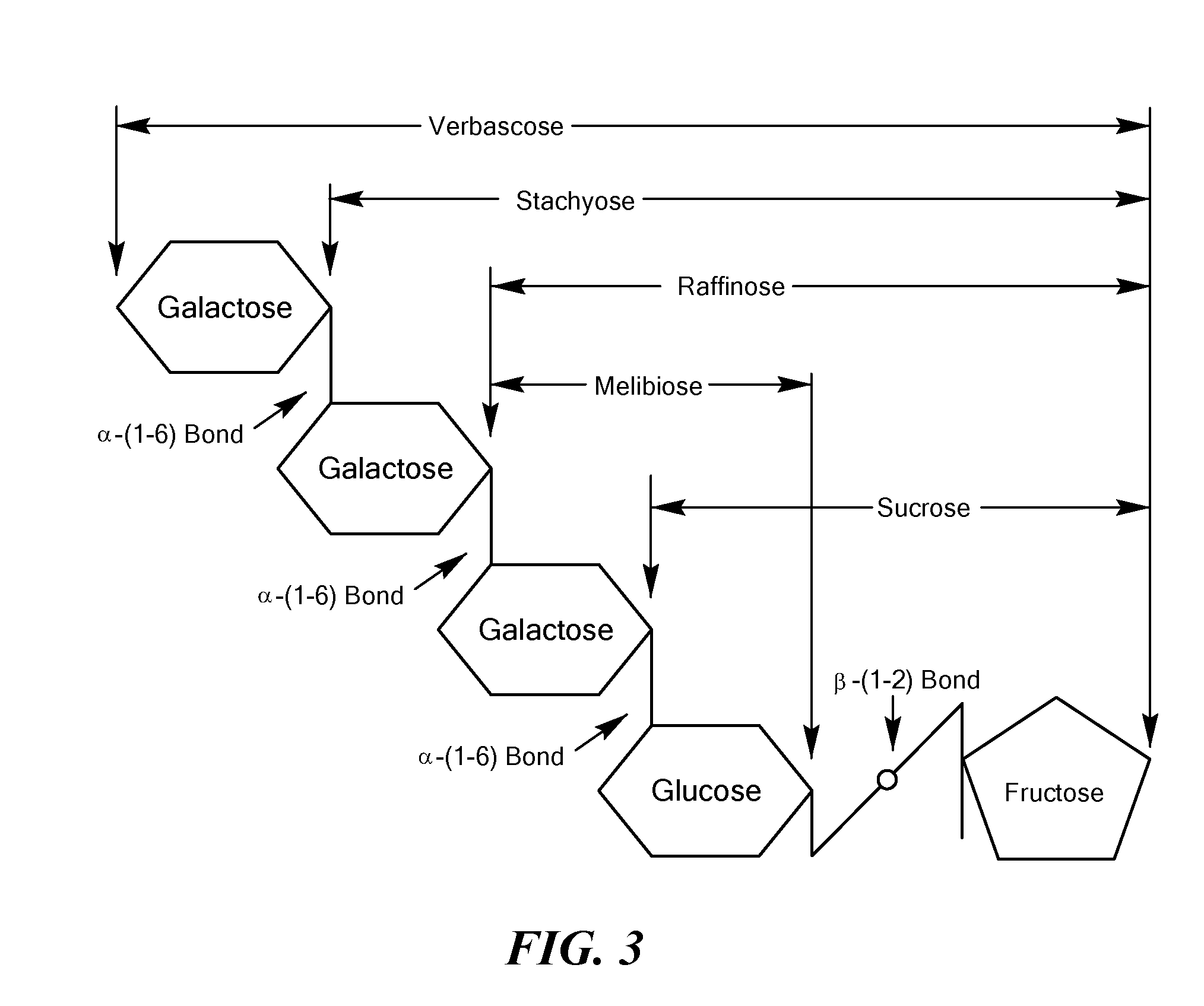 Engineered microorganisms and methods of use