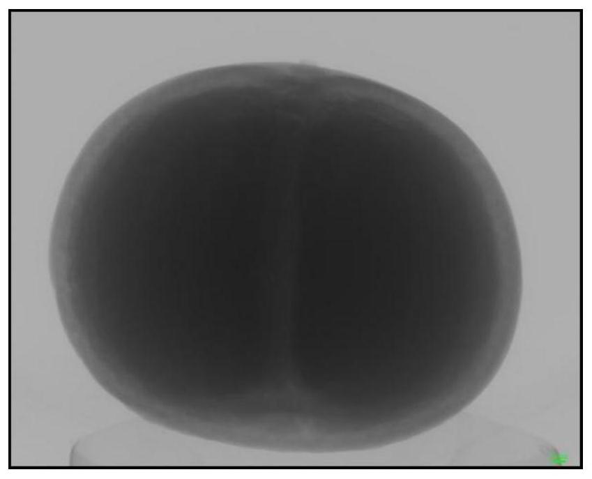 Fruit epidermis micro-damage detection method based on X-ray and contrast enhancer