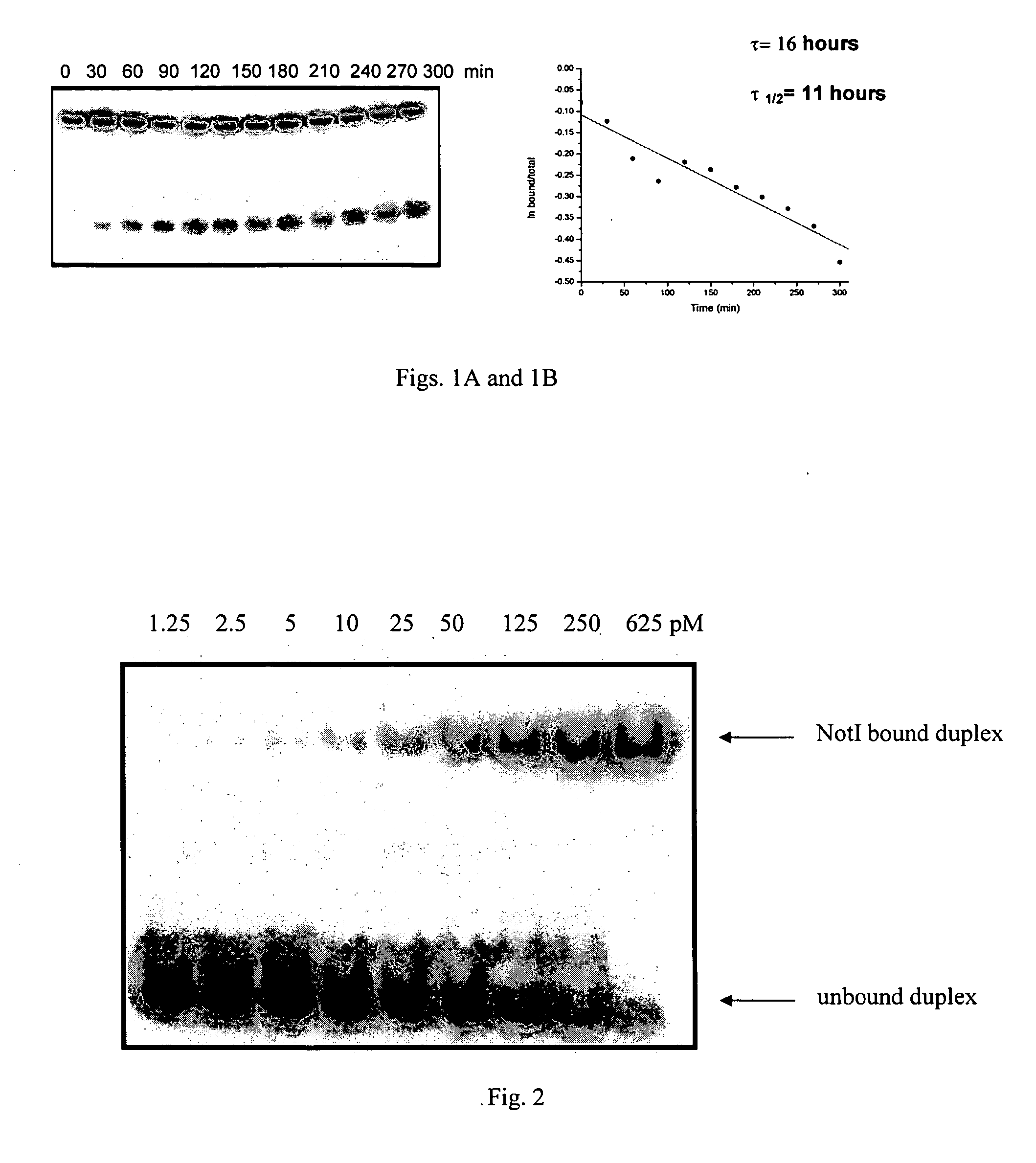 Methods and compositions related to the use of sequence-specific endonucleases for analyzing nucleic acids under non-cleaving conditions