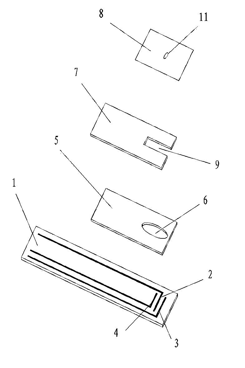 Biosensor and manufacturing method thereof