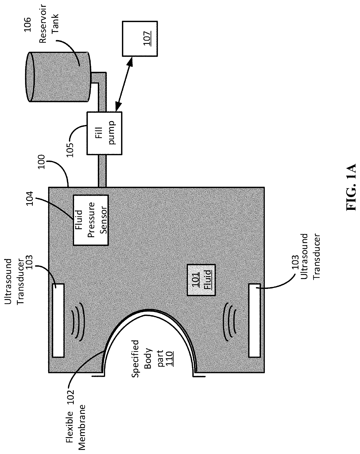 Retention and stabilization of anatomy for ultrasound imaging