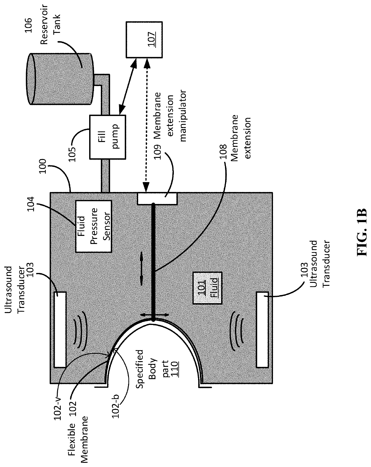 Retention and stabilization of anatomy for ultrasound imaging